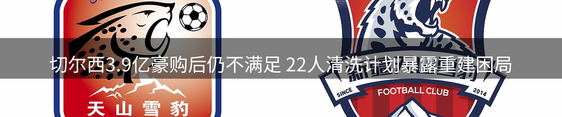 平台资讯