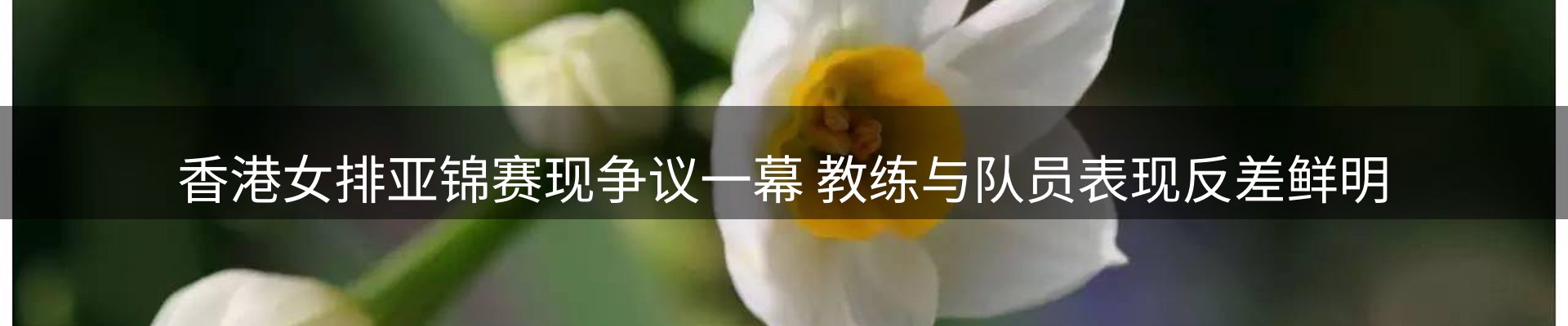 平台资讯